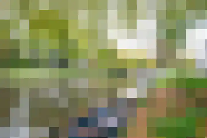 Abstederdijk 34 2 Utrecht thumbnail 34