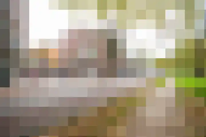 Abstederdijk 34 2 Utrecht thumbnail 35