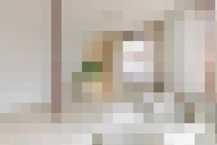 Abstederdijk 34 2 Utrecht thumbnail 5