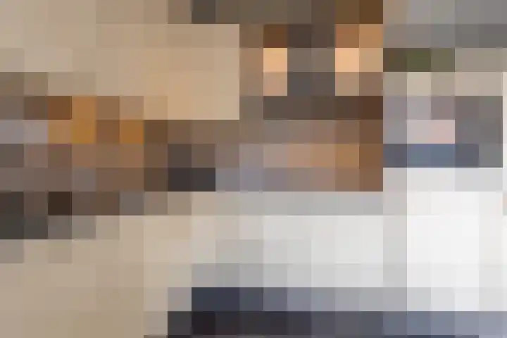 Abstederdijk 34 2 Utrecht thumbnail 8