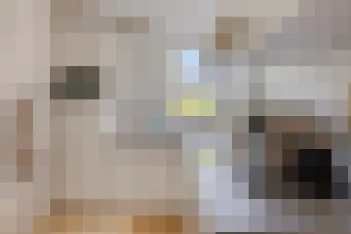 Abtshof 64 Bergeijk thumbnail 21