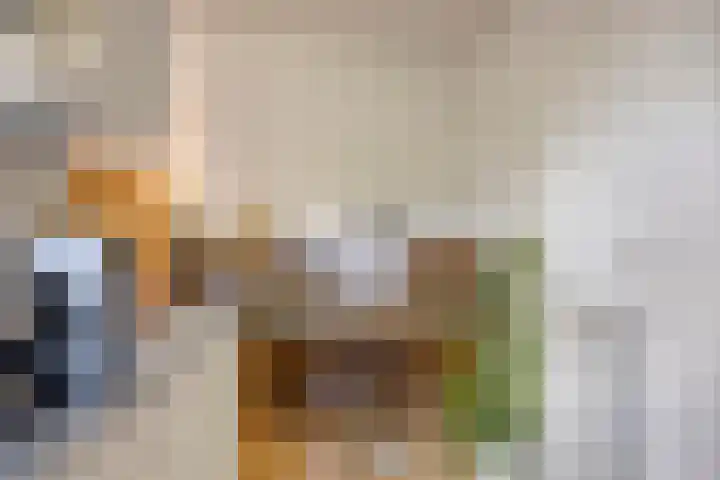Abtshof 64 Bergeijk thumbnail 22