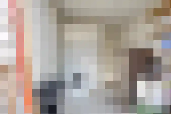 Abtshof 64 Bergeijk thumbnail 24