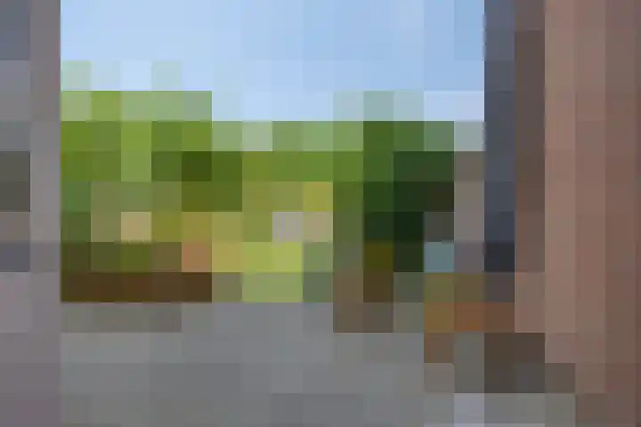 Abtshof 64 Bergeijk thumbnail 35