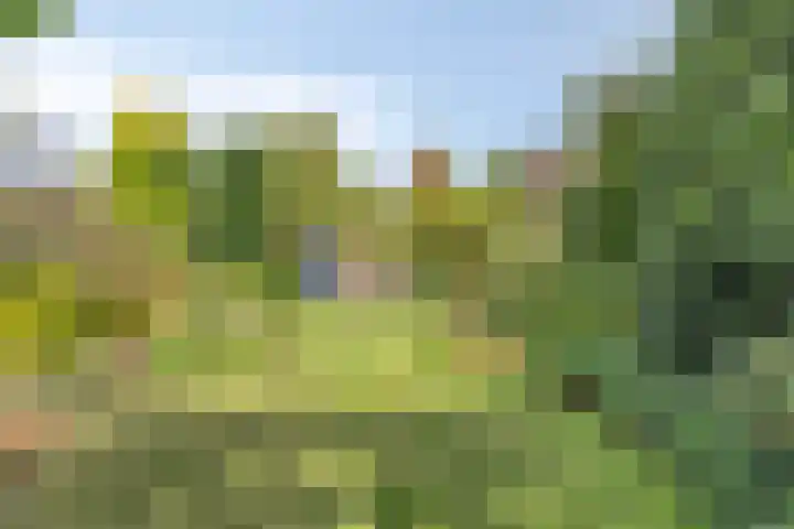 Abtshof 64 Bergeijk thumbnail 37