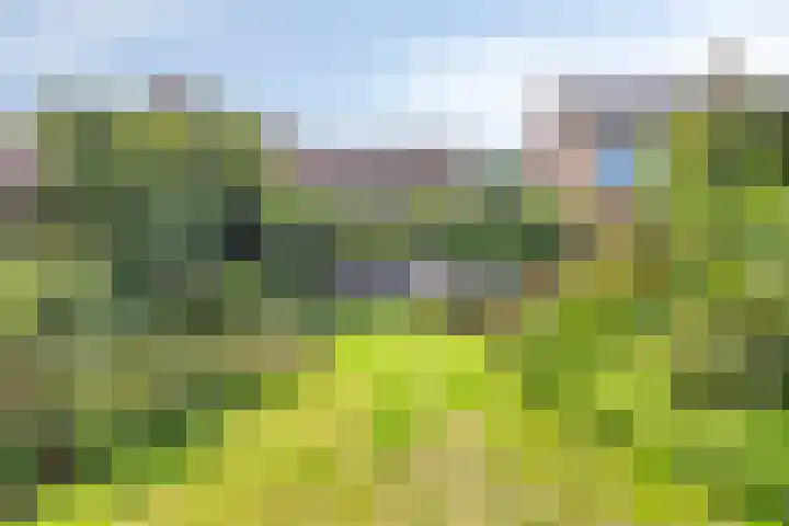Abtshof 64 Bergeijk thumbnail 38