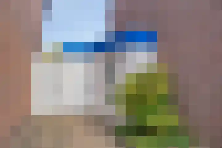 Abtshof 64 Bergeijk thumbnail 9