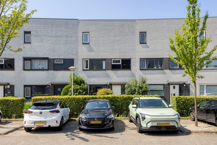 Aburahout 33 in Zoetermeer foto