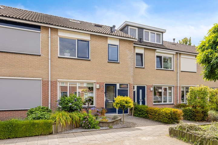 Acacia 11 in Heino foto