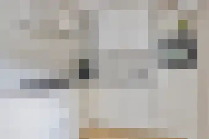 Acacia 11 Heino thumbnail 13
