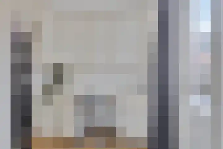 Acacia 11 Heino thumbnail 15