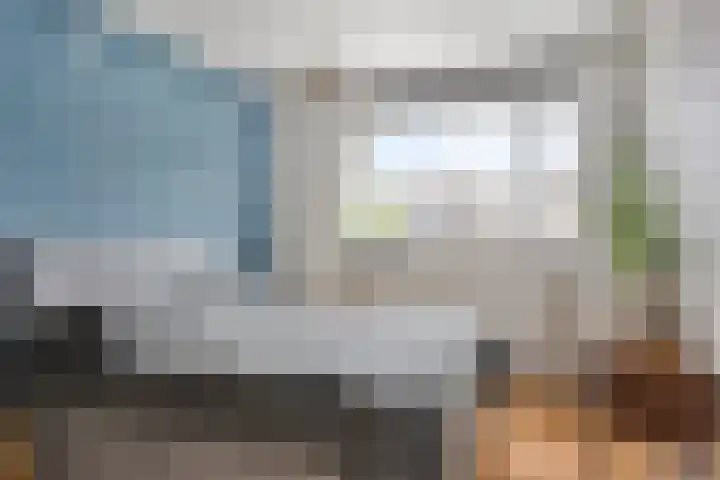Acacia 11 Heino thumbnail 16