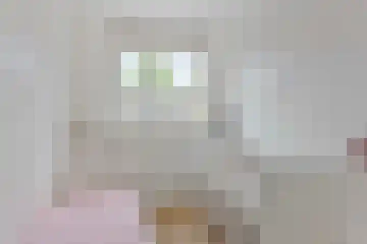 Acacia 11 Heino thumbnail 18