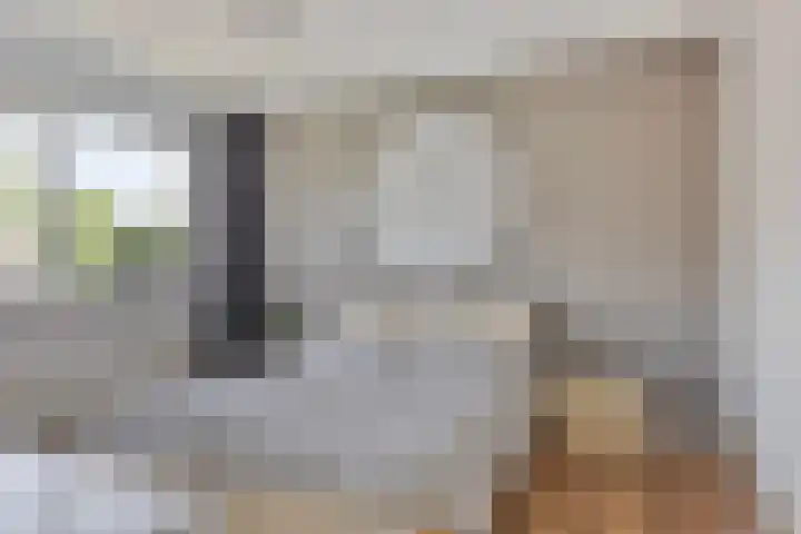 Acacia 11 Heino thumbnail 22