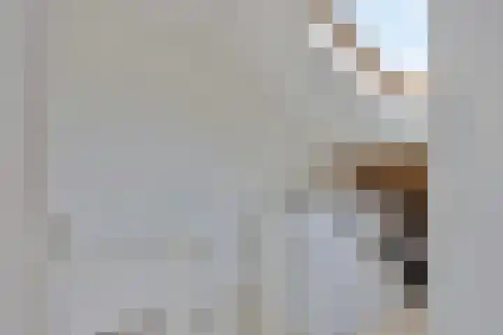 Acacia 11 Heino thumbnail 25