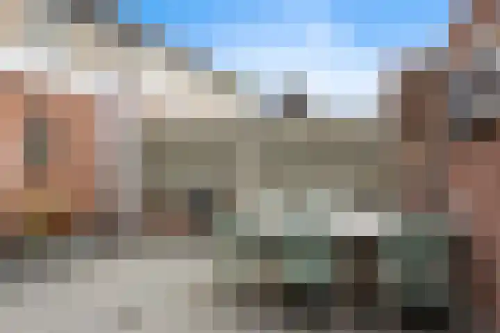 Acacia 11 Heino thumbnail 30