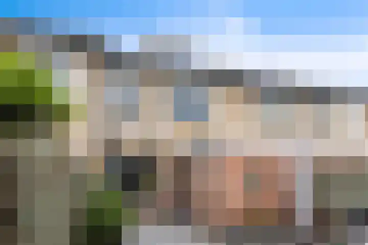 Acacia 11 Heino thumbnail 31