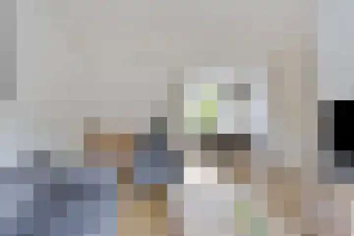Acacia 11 Heino thumbnail 6