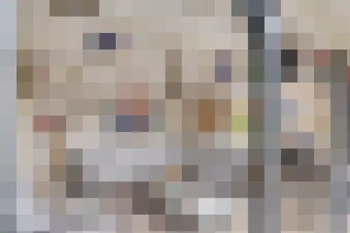 Acacia 36 Helmond thumbnail 33
