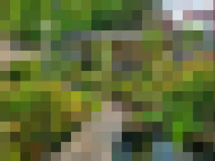 Acacia 36 Helmond thumbnail 35