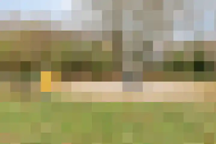 Acacia 36 Helmond thumbnail 39