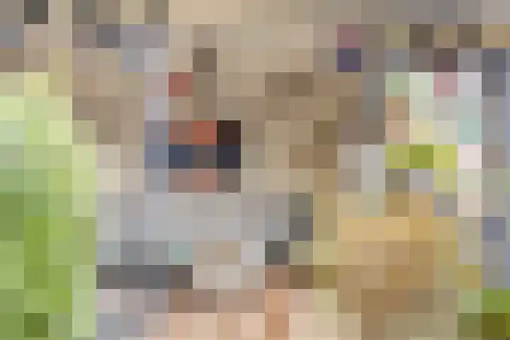 Acacia 36 Helmond thumbnail 5