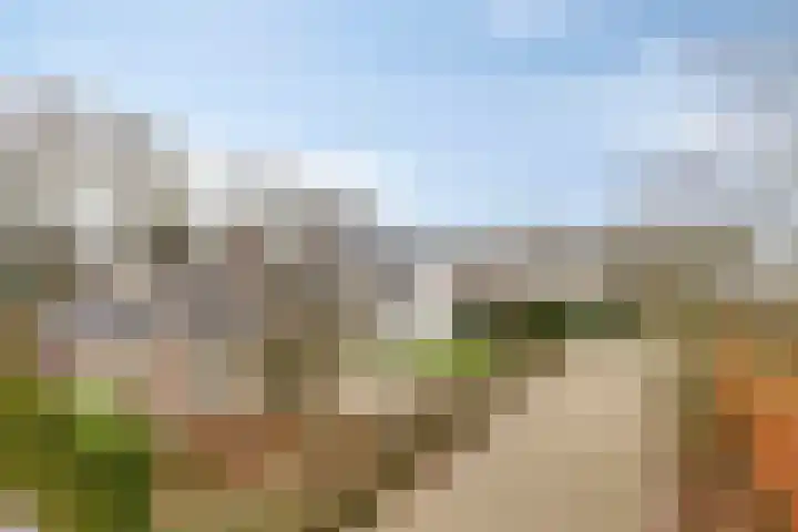 Acacia 36 Helmond thumbnail 6