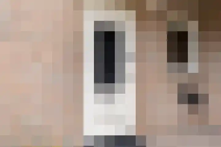Acacia 36 Helmond thumbnail 8