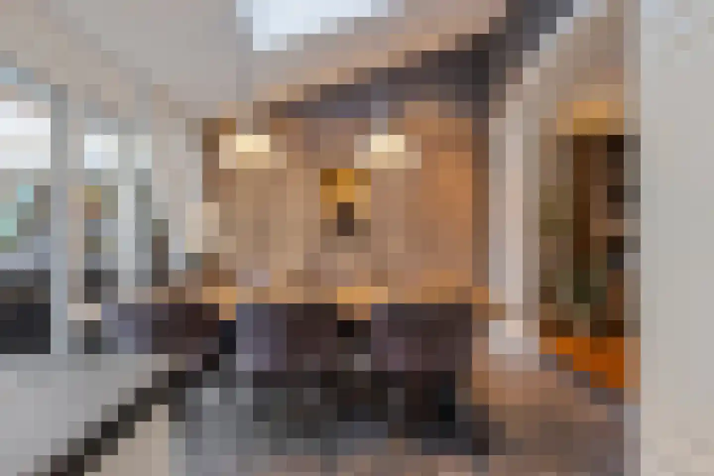 Acacia 81 Best thumbnail 11