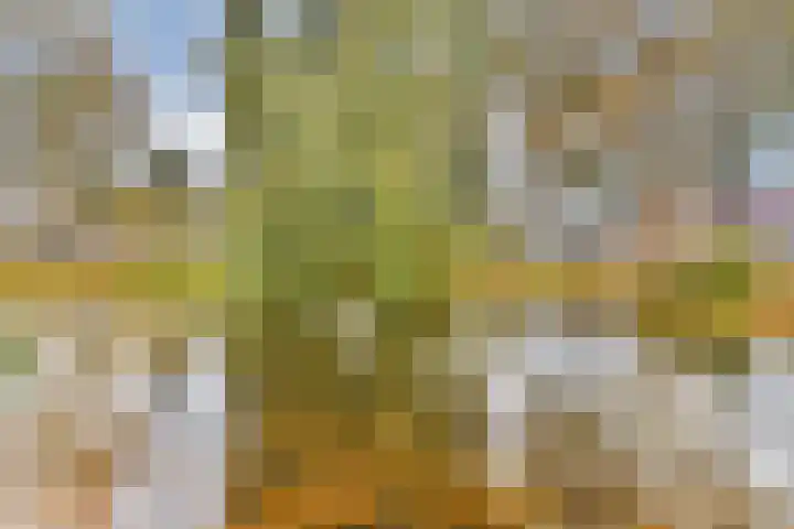 Acaciadreef 34 Vlaardingen thumbnail 31