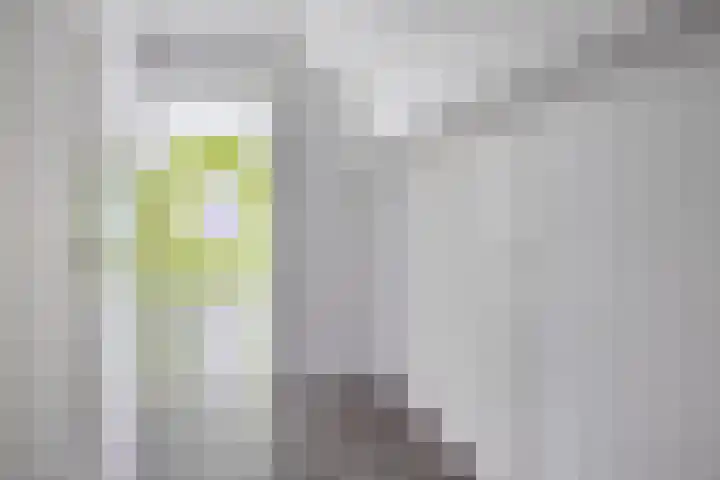 Acacialaan 1 c Pijnacker thumbnail 18