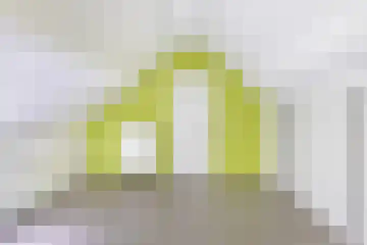 Acacialaan 1 c Pijnacker thumbnail 19