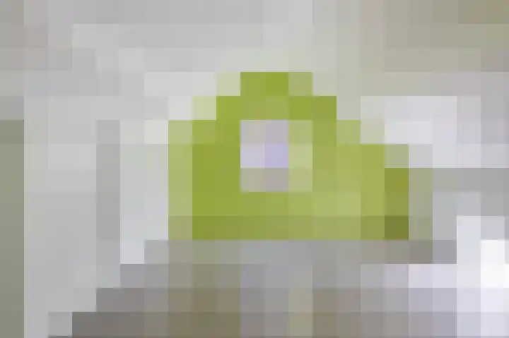 Acacialaan 1 c Pijnacker thumbnail 20