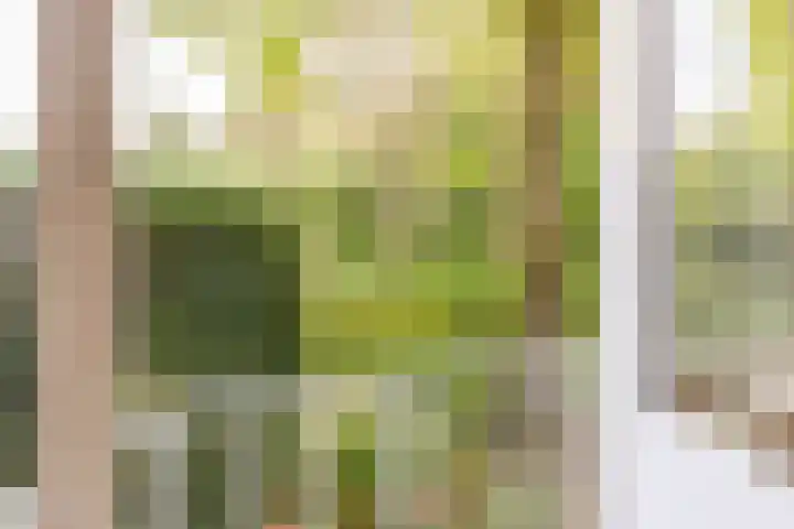 Acacialaan 10 Vught thumbnail 23