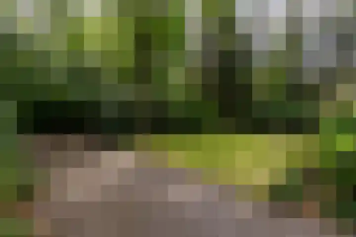 Acacialaan 10 Vught thumbnail 41