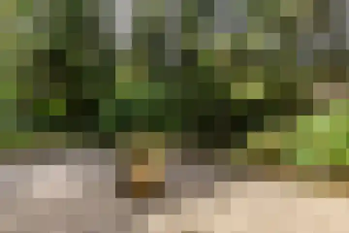 Acacialaan 10 Vught thumbnail 42