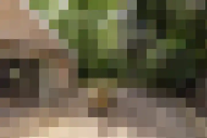 Acacialaan 10 Vught thumbnail 43