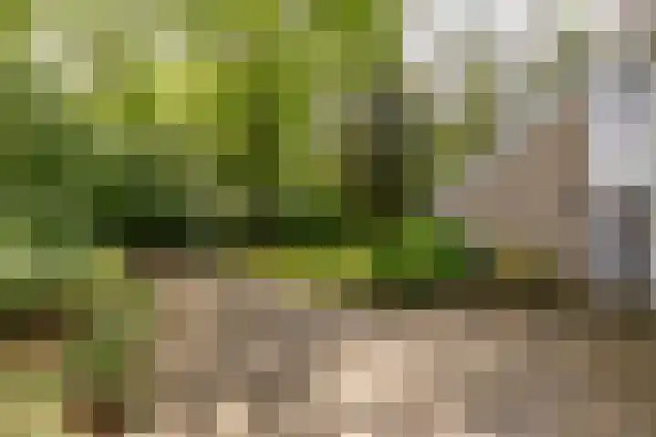 Acacialaan 10 Vught thumbnail 46