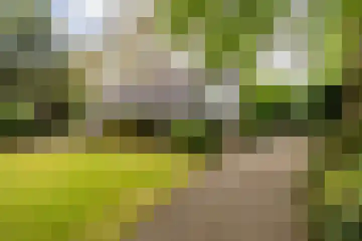 Acacialaan 10 Vught thumbnail 50