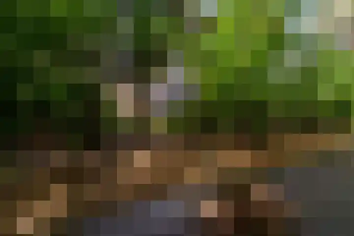 Acacialaan 10 Vught thumbnail 52