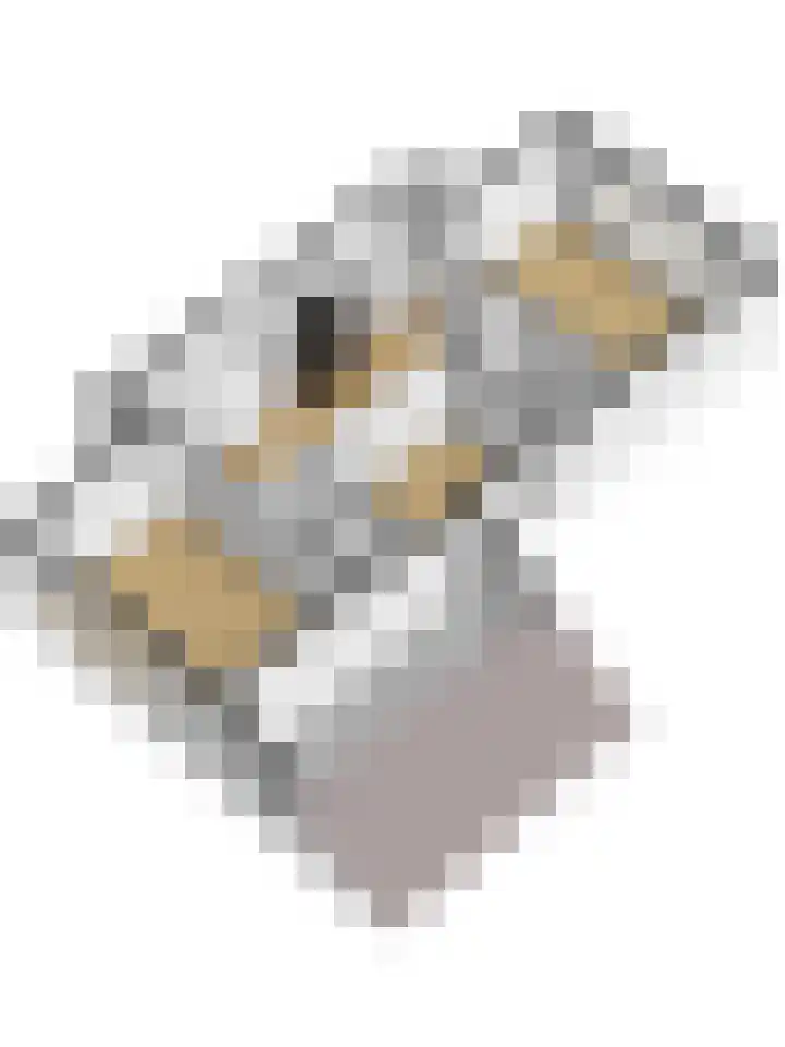 Acacialaan 10 Vught thumbnail 54