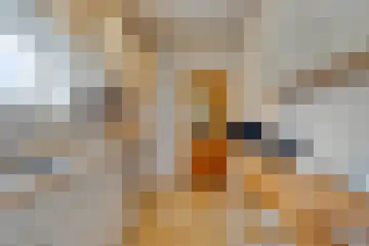 Acacialaan 11 Steenbergen thumbnail 12