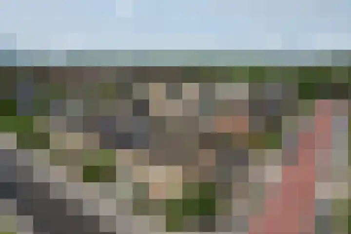 Acacialaan 11 Steenbergen thumbnail 37