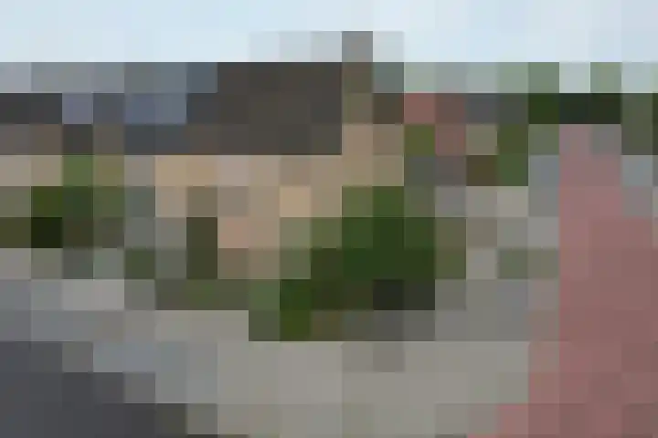 Acacialaan 11 Steenbergen thumbnail 4