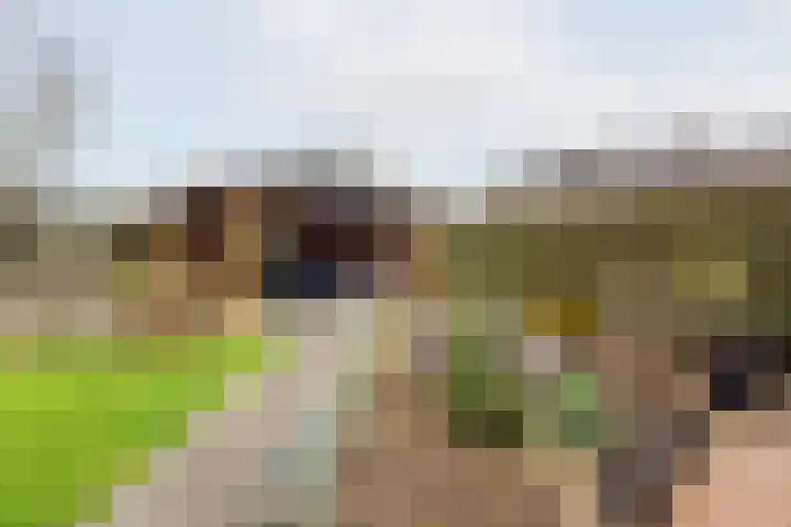 Acacialaan 14 Netterden thumbnail 35