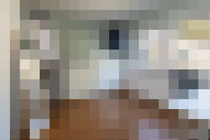 Acacialaan 19 Maarn thumbnail 20