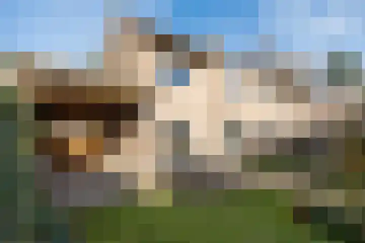 Acacialaan 19 Maarn thumbnail 38