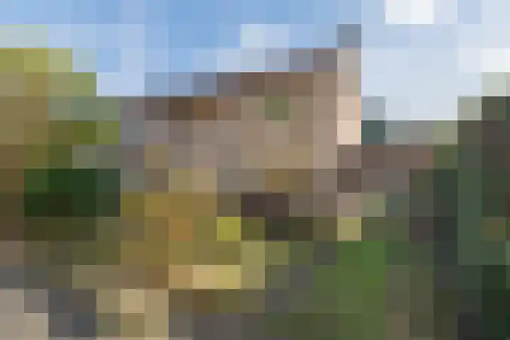 Acacialaan 19 Maarn thumbnail 40