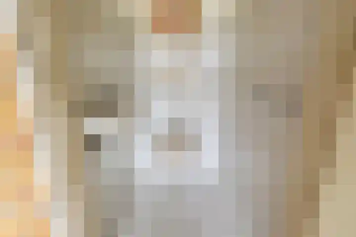 Acacialaan 2 Netterden thumbnail 22