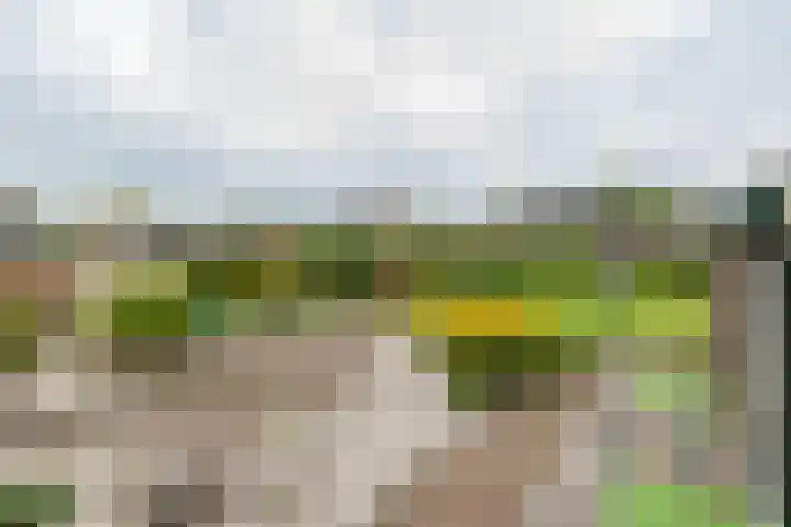 Acacialaan 2 Netterden thumbnail 33